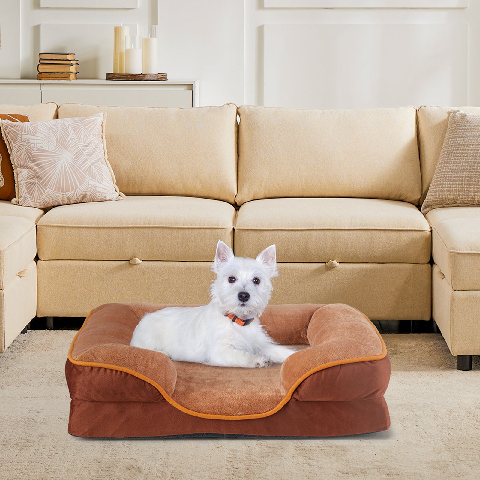 Memory Foam Pet Bed For Small Dogs & Cats With Washable non-slip base.